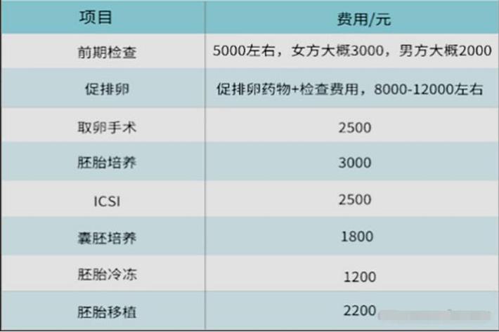 医院借卵代孕收费标准
