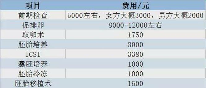 店国内第三代代孕宝宝多少钱