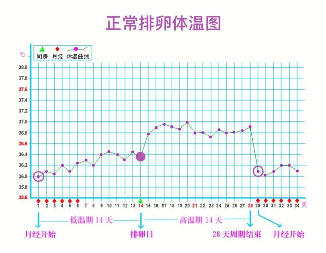 四个月国内第三代代孕宝宝体温多少正常